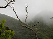 DSCN1163.jpg