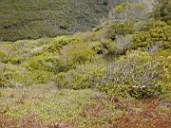 DSCN1181.jpg