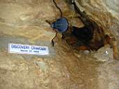 DSCN1187.jpg