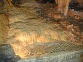 DSCN1206.jpg