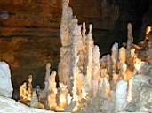 DSCN1241.jpg