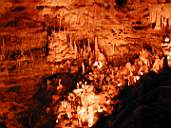DSCN1248.jpg