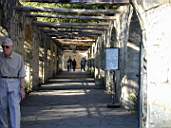 DSCN1385.jpg