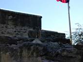 DSCN1398.jpg