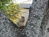 DSCN1473.jpg