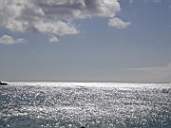 dscn0510.jpg