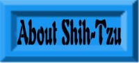 � Click this photo goes to - LEARN MORE ABOUT SHIH TZU�