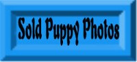 � Click this photo goes to our -&nbsp; SOLD PUPPY PHOTO&nbsp; PAGE�