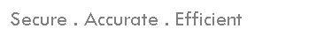 Text Box: Secure . Accurate . Efficient
