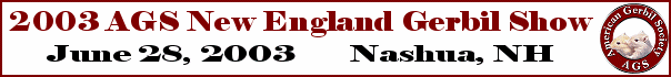 New England
Show Banner