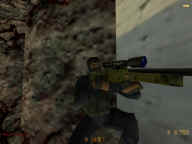 A Sniper..