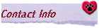 Contact Info