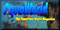 Aqua World