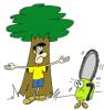 arbol