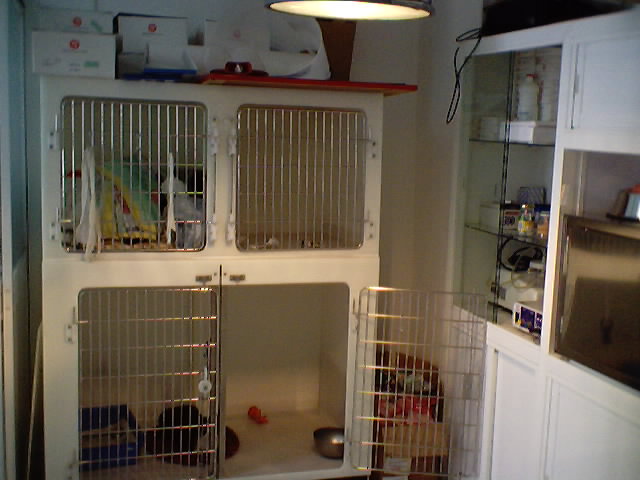 Sala de recobro