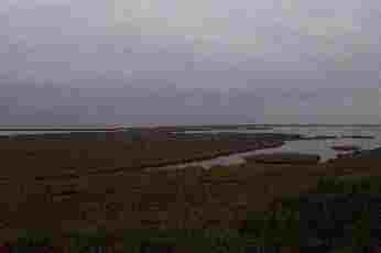 There really are 3 Whooping Cranes in this picture. My digital camera cannot zoom enough. I will post from my 35mm later if the pictures are clear.