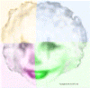 Follies Rainbow Clown - Copyright (c) 2001 by LPT Scott.