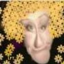 04_131Daisy_Copyright_2001_LPT_Scott.jpg (3416 bytes)