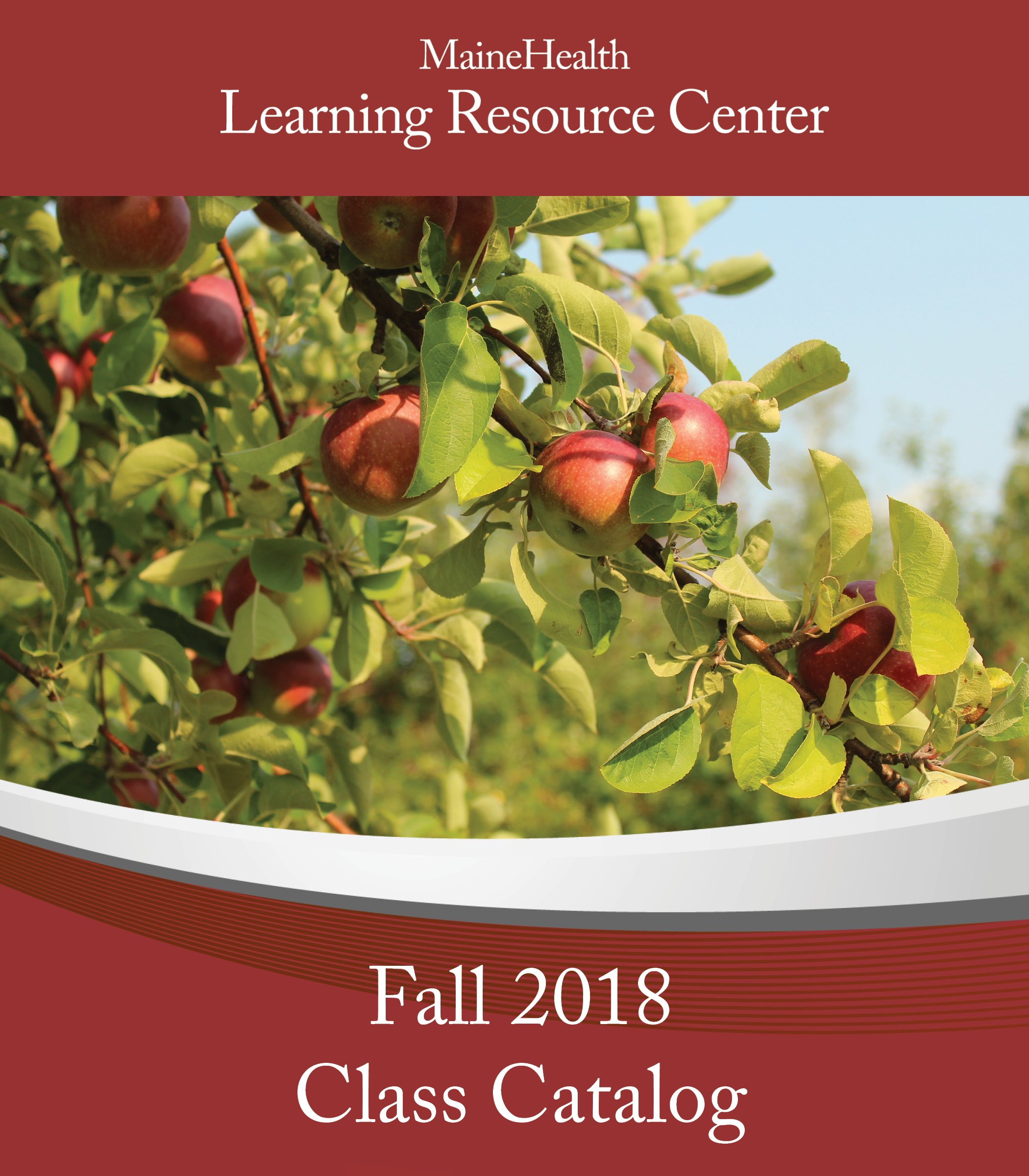 2018 Fall Catalog