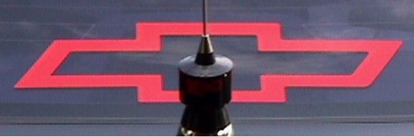 Red Bowtie Decal