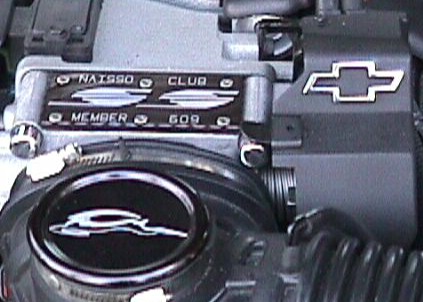 Throttle Linkage Cover