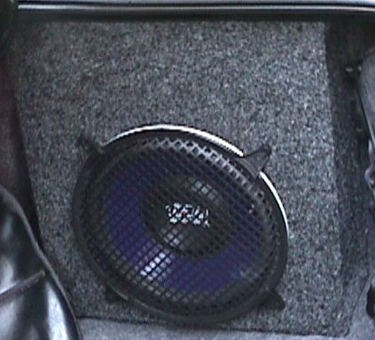 Right 12 Inch Woofer