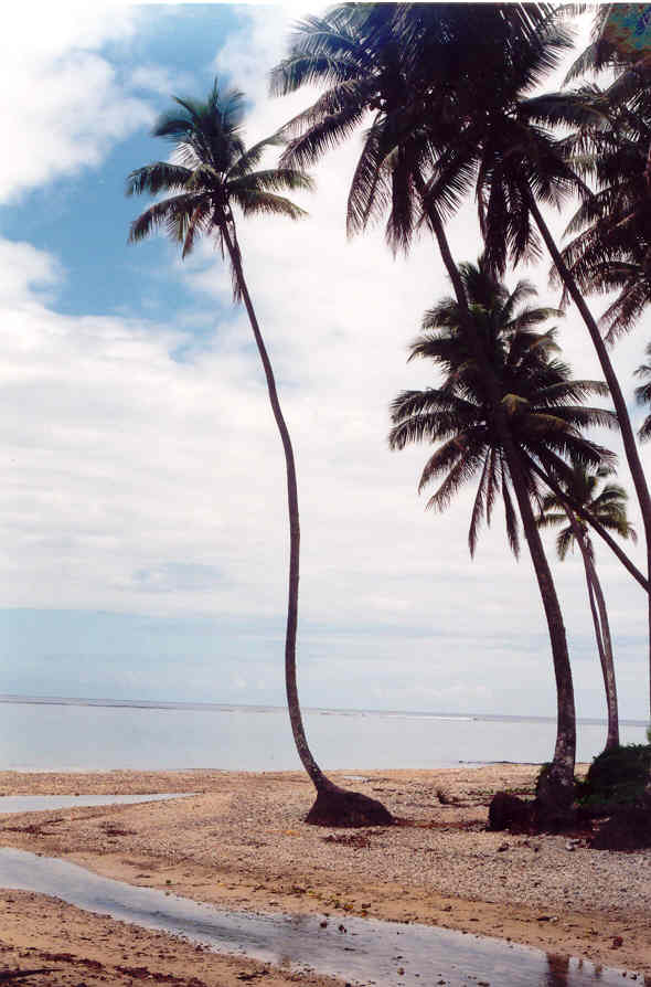 Coral Coast