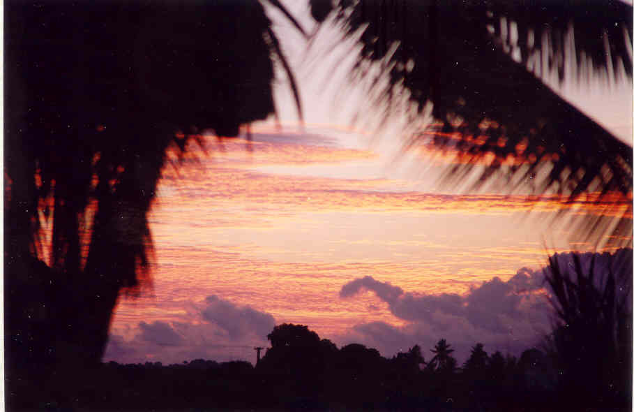 Vitogo, Lautoka