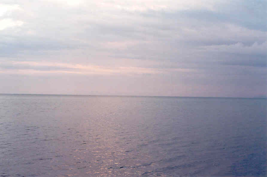 Nasese, Suva