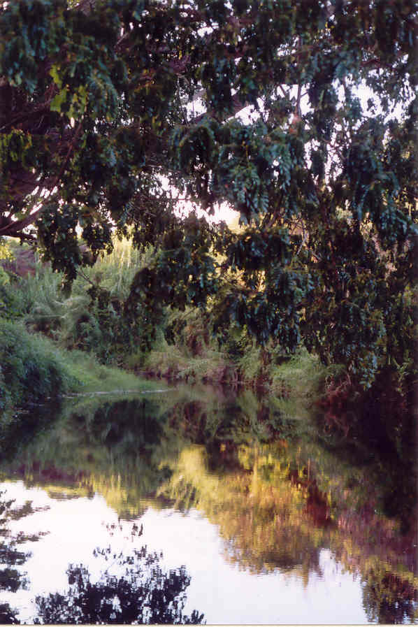 Vitogo, Lautoka
