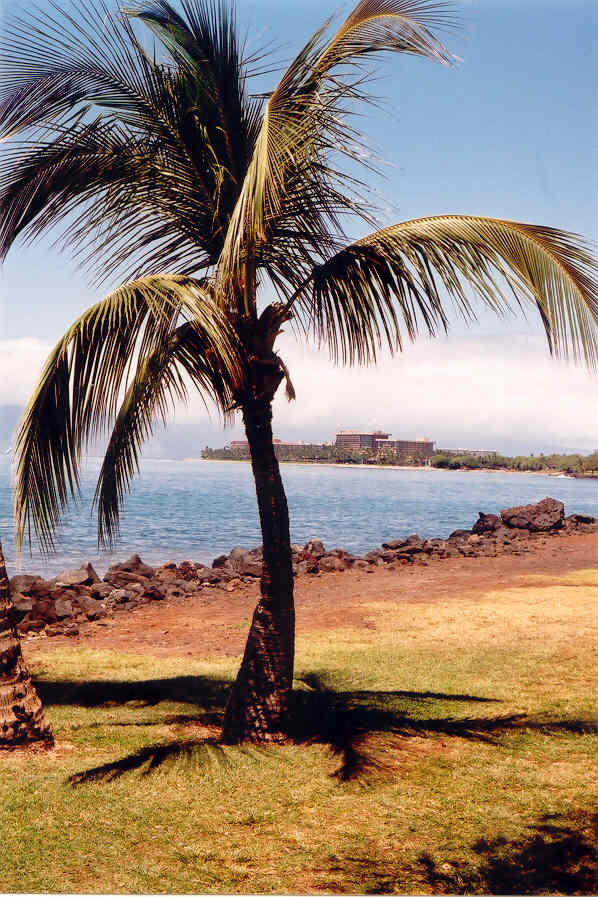 Maui