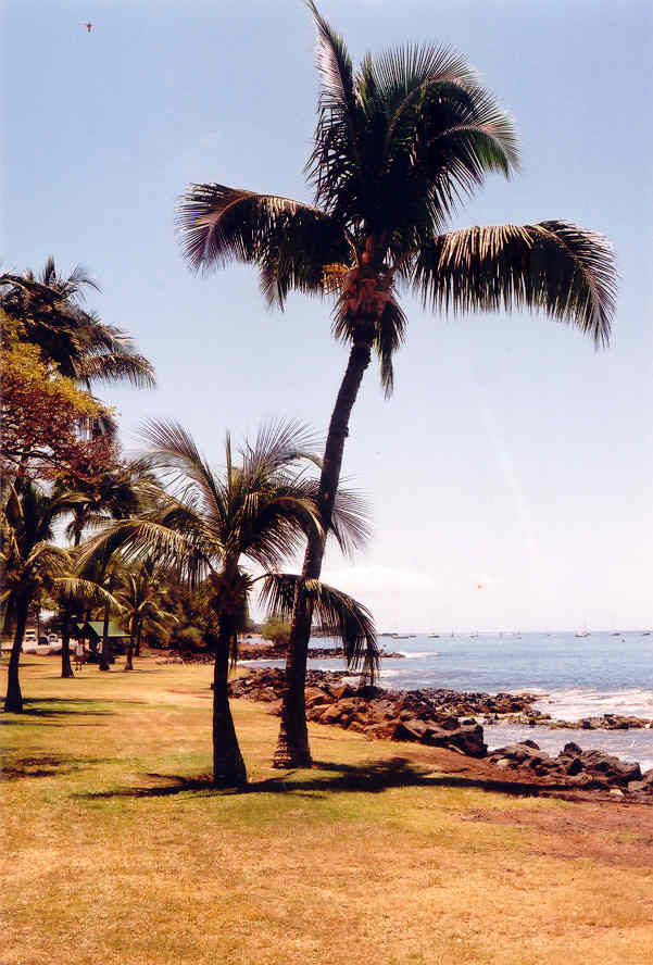 Maui