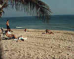 BEACH2.JPG (25896 bytes)