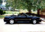 MY_STANG.JPG (115409 bytes)