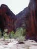 Red Cliffs