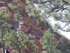 Zion011.jpg (112453 bytes)