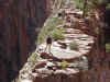Zion016.jpg (96725 bytes)