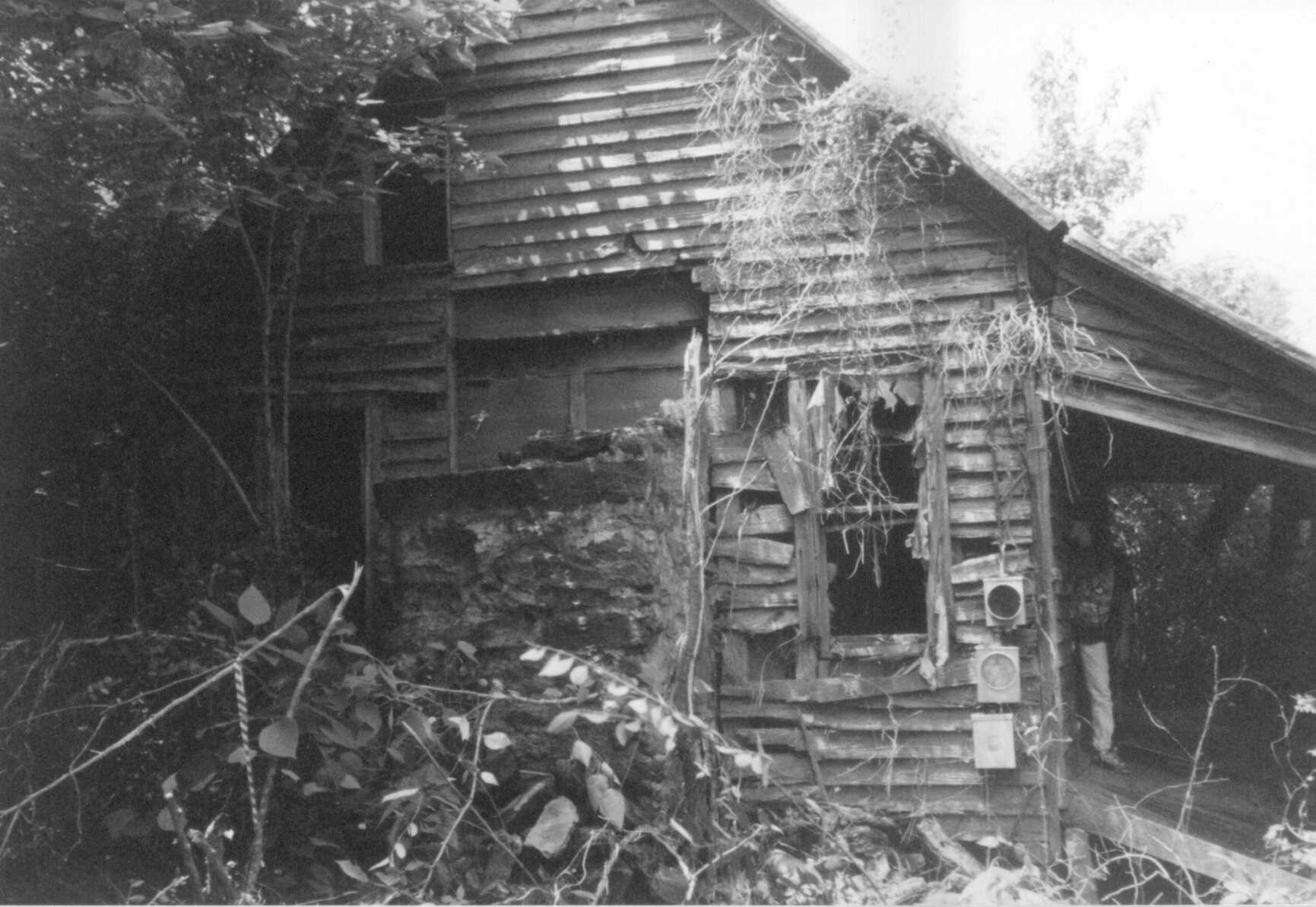 cabin2.jpg
