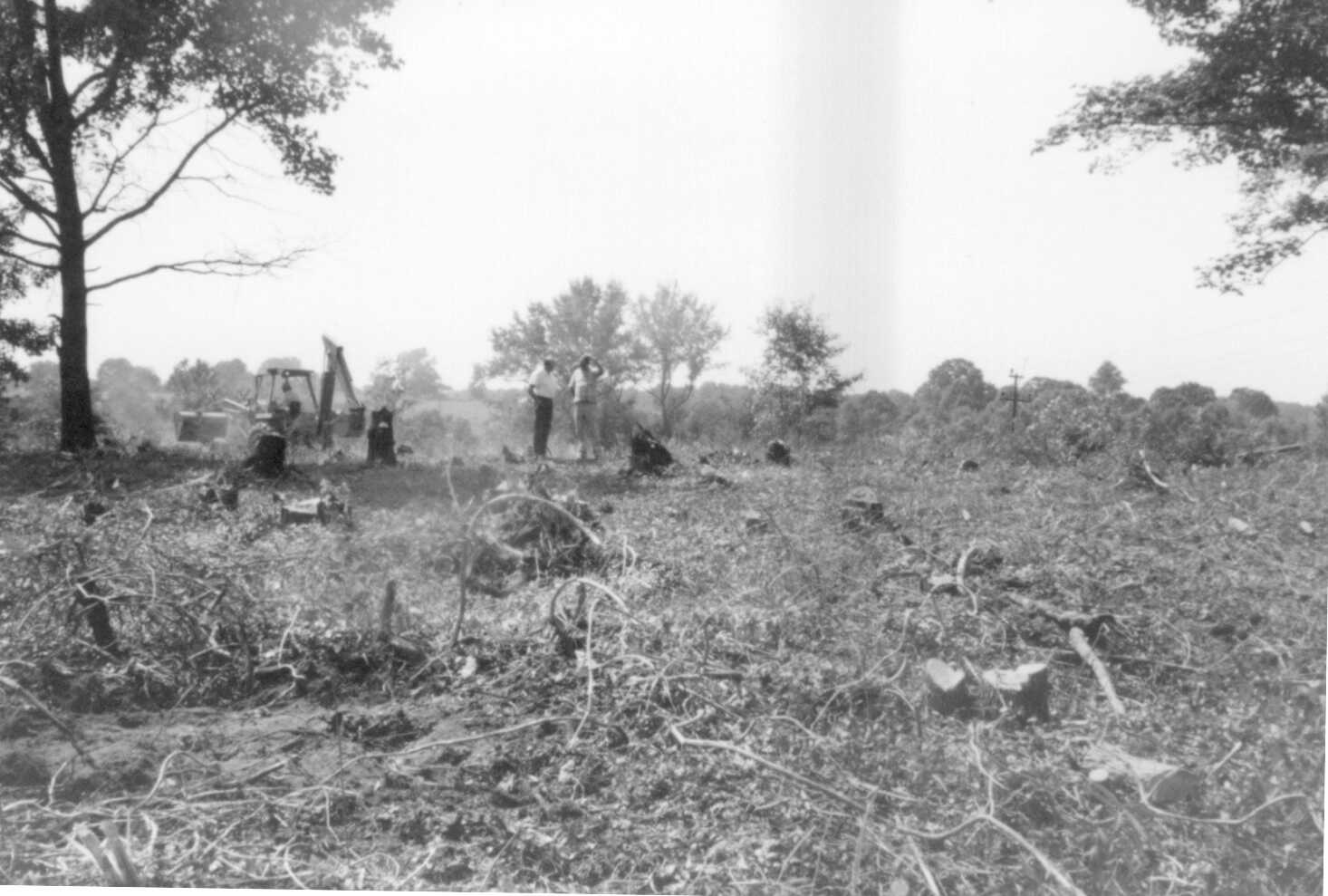 cemetery1.jpg