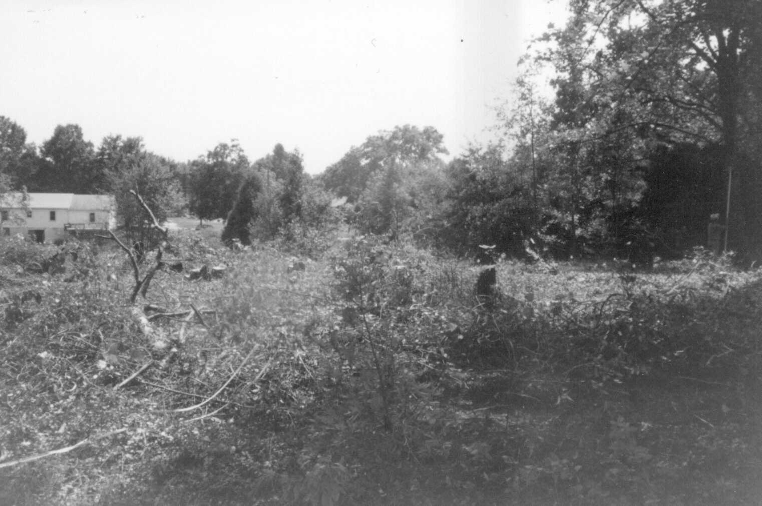 cemetery2.jpg