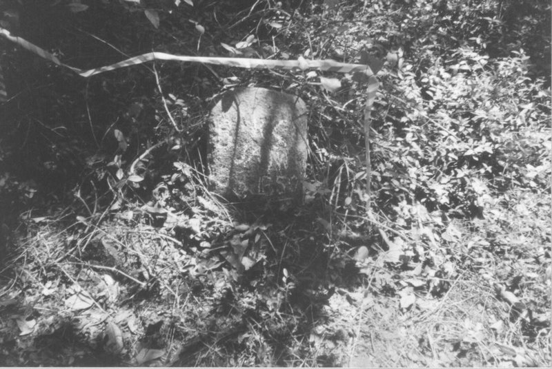 stones1.jpg