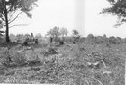 cemetery1.jpg