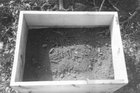 newcoffin1.jpg