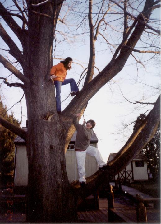 I've gone to pick some wedgies out of the wedgie tree...
