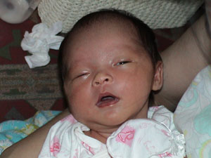 Java Photo 1st Month