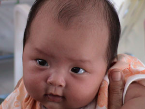 Java Photo 2nd Month