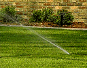 A well watered lawn in a healthy lawn!