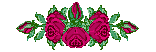 Welcome flower