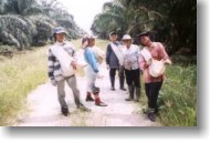 BHL perempuan