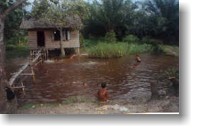 Anak bermain di lingkungan yang tidak sehat